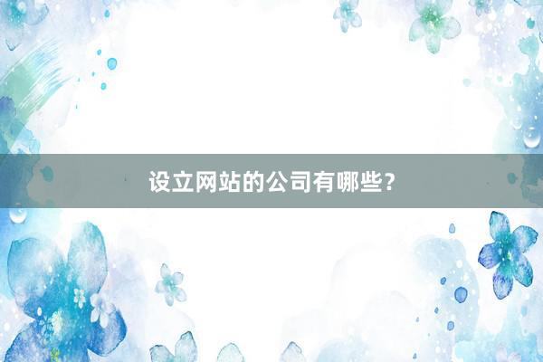 设立网站的公司有哪些？