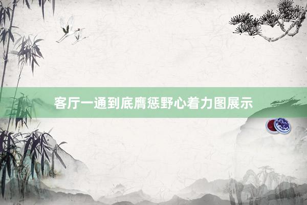 客厅一通到底膺惩野心着力图展示